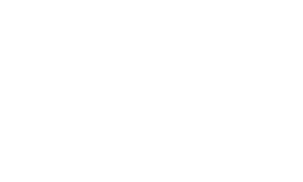 Business Village Logo